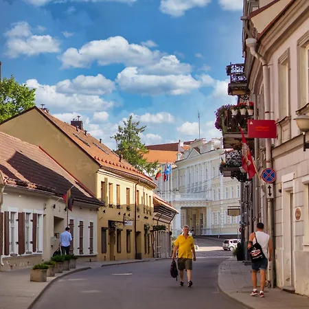 Spacious, Very Cosy, Stylish And Perfectly Located Vilnius